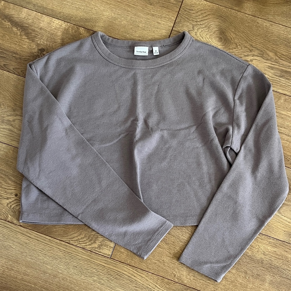 Aritzia Sunday Best Cropped Tee